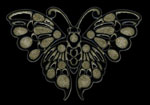 ha18Butterfly (BlackFront)